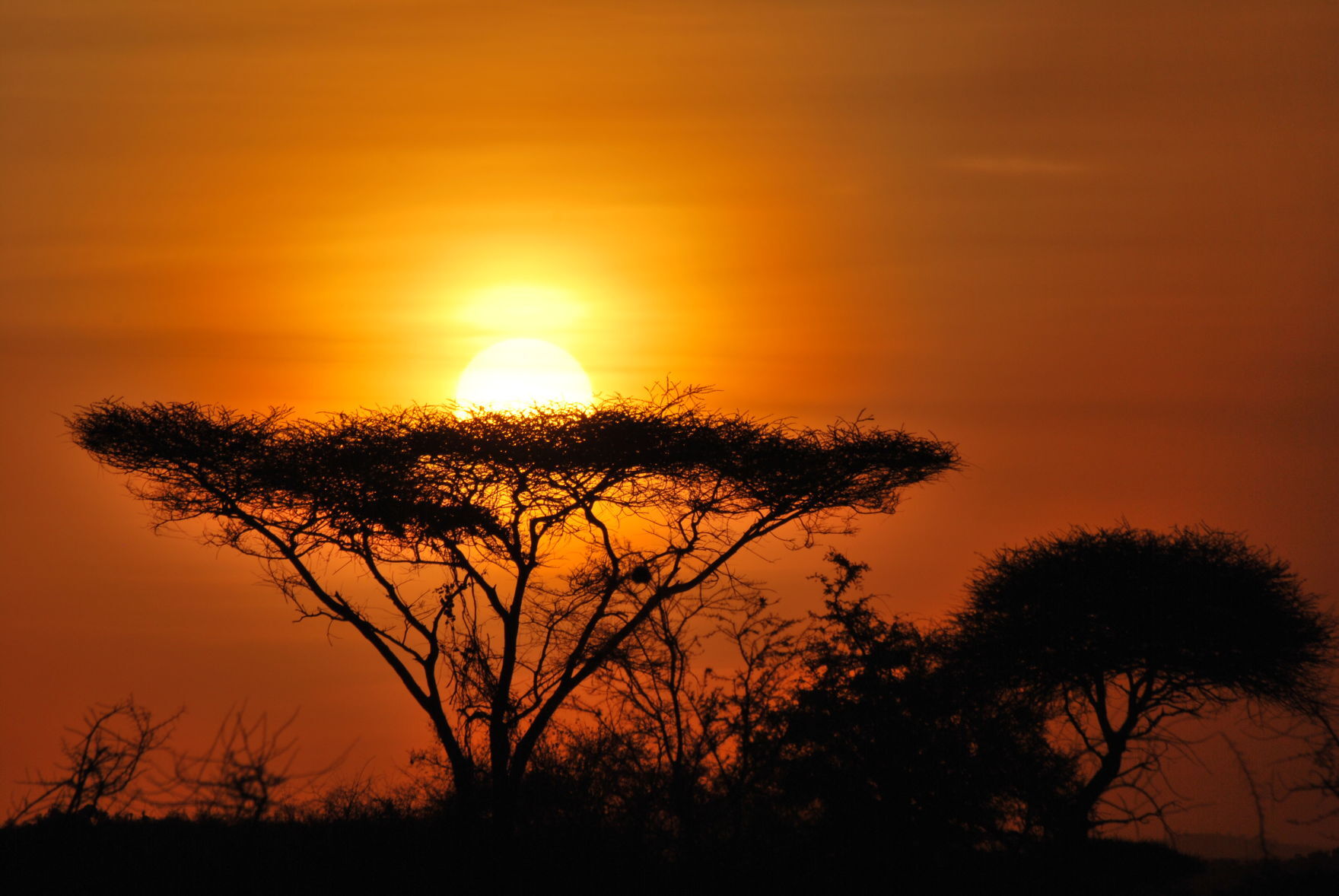 Sunset over the Serengeti